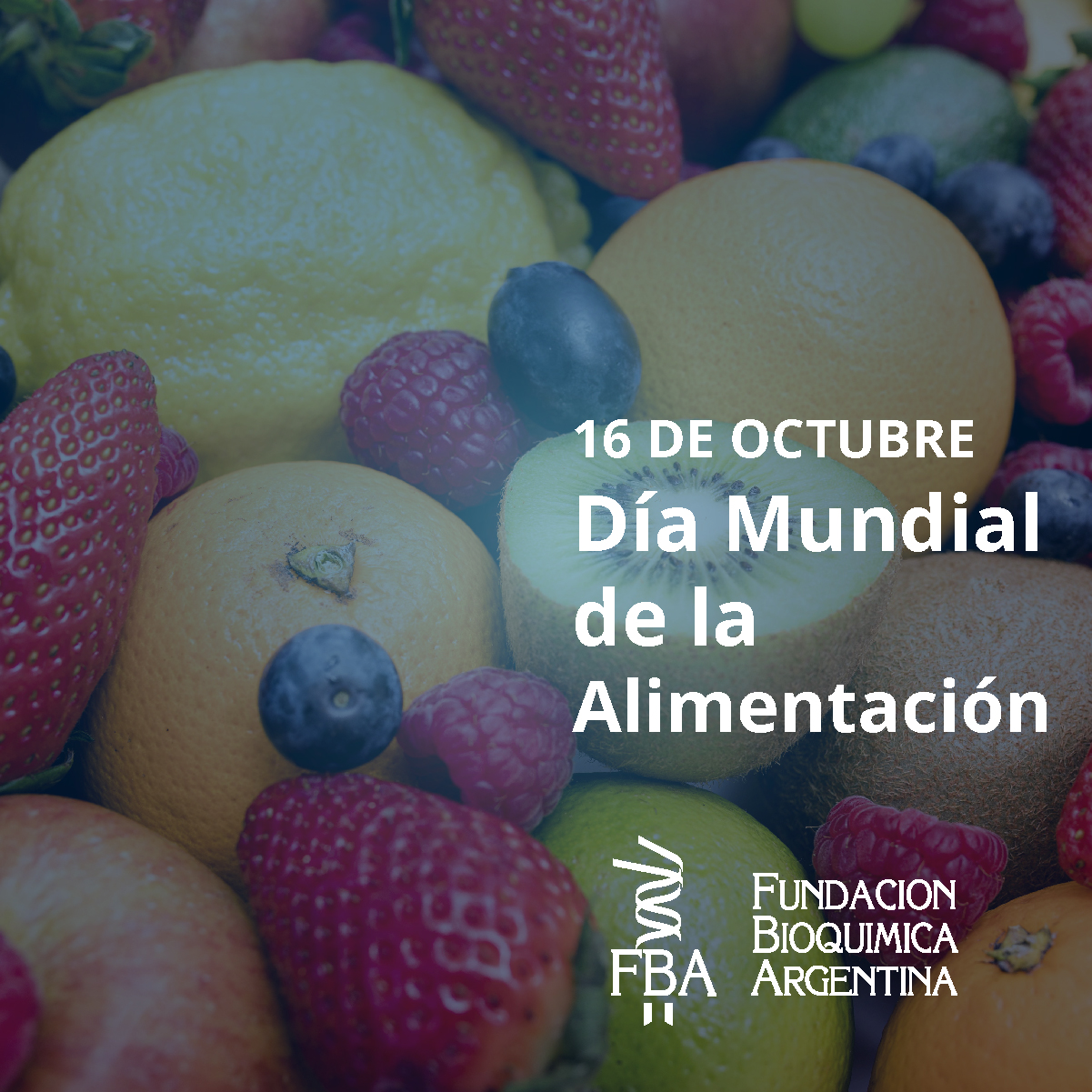 16 de Octubre “Día Mundial de la Alimentación” FBA