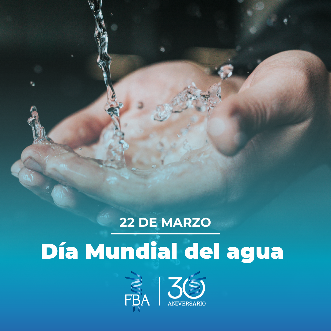 22 de Marzo: Día Mundial del agua