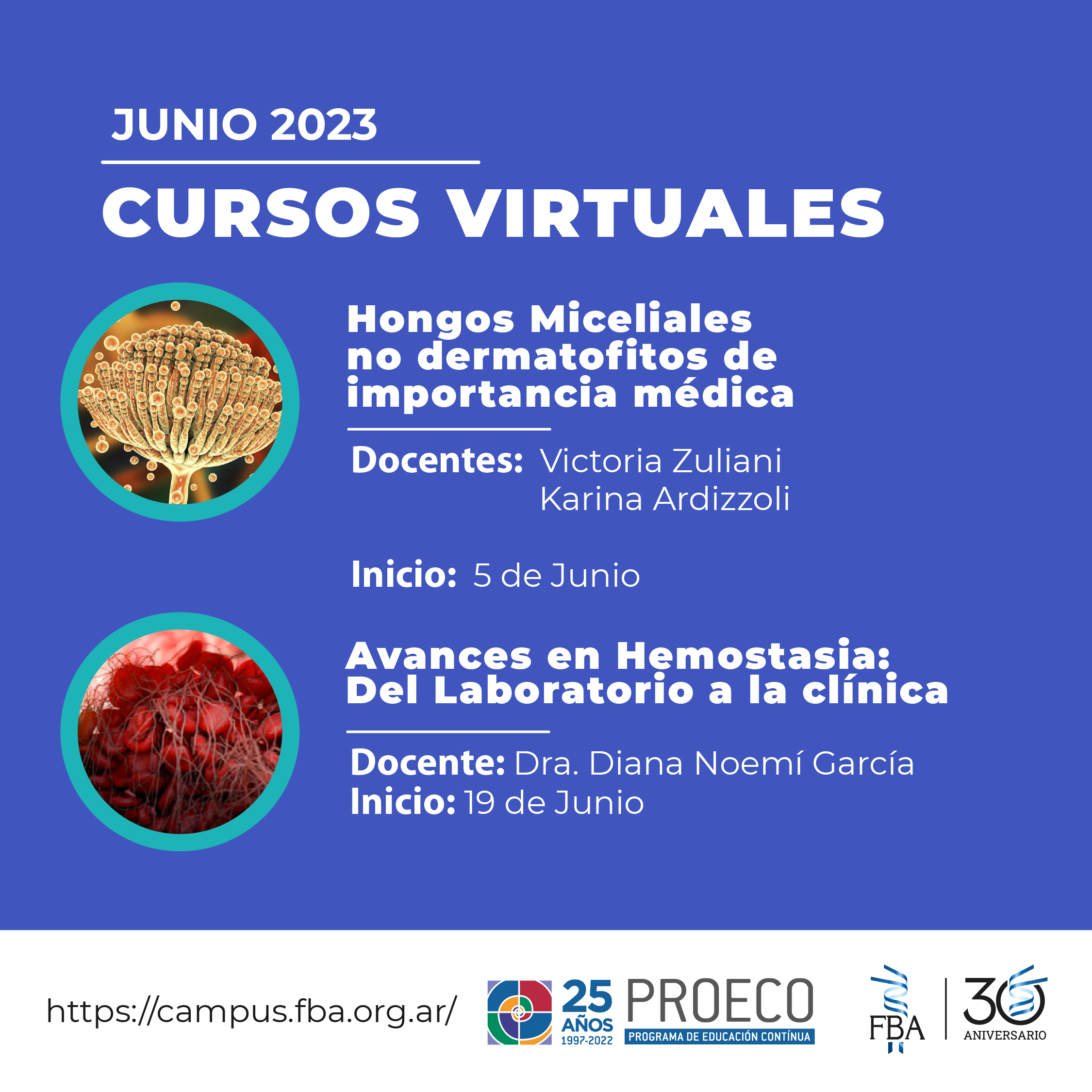 Cursos Virtuales Proeco, Junio.